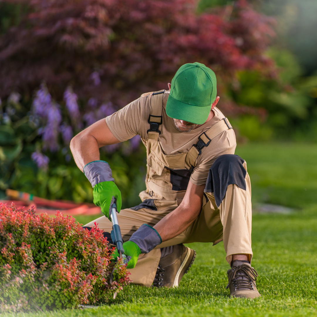 Jardinagem e paisagismo